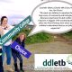 Post-Primary-School-Testimonial---DDLETB