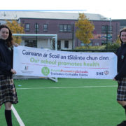 Health-Promoting-Schools-Flag-Donabate