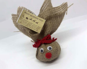 magic-reindeer-food